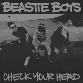 Beastie Boys - Check Your Head | 4LP BOX SET