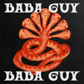 Zwangere Guy - Baba Guy | LP