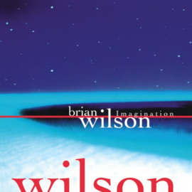 Brian Wilson - Imagination | LP