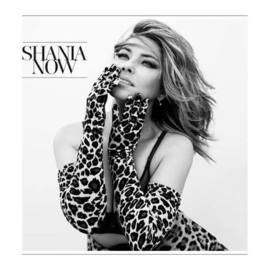 Shania Twain - Now | CD