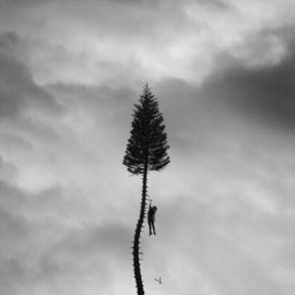 Manchester Orchestra - A Black Mile To the Surface | 2LP -Reissue, coloured vinyl-