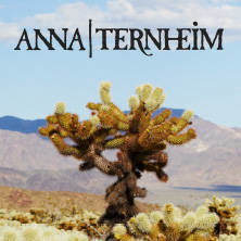 Anna Ternheim - A space for lost time | LP