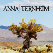 Anna Ternheim - A space for lost time | CD