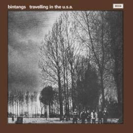 Bintangs - Travelling In the Usa | LP -Coloured vinyl-