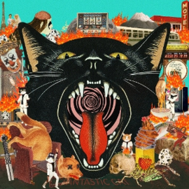 Fantastic Cat - Cat Out of Hell | LP