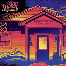 Ann Wilson & Tripsitter - Consecrated Ground | CD