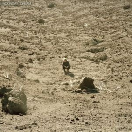 Ben Howard - Noonday dream |  CD