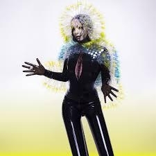 Bjork - Vulnicura | 2LP