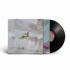 Efterklang - Windflowers | LP