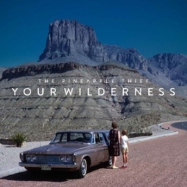 Pineapple thief - Your wilderness | LP -Reissue-