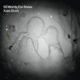 Kate Bush - 50 words for snow | 2LP