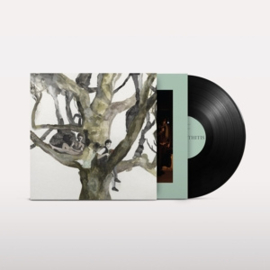 Destroyer - Labyrinthitis | LP