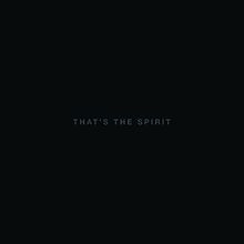 Bring me the horizon - That's the spirit | 2LP