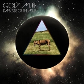 Gov't Mule - Dark side of the mule | CD + DVD  (4 discs)