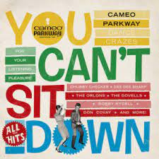 Various - You Can't sit down | 2LP -Coloured vinyl-