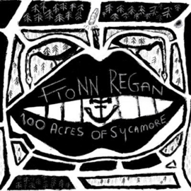 Fionn Regan - 100 Acres of Sycamore  | LP