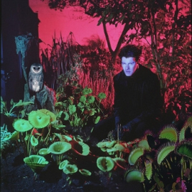 Vjeze Fur - Tuinieren | LP