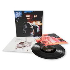 Bat For Lashes - Fur and Gold | LP -20th Anniversary edition-