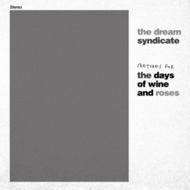 Dream Syndicate - Sketches For The Days Of Wine And Roses | LP