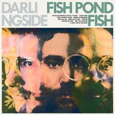 Darlingside - Fish Pond Fish | LP -Coloured vinyl-