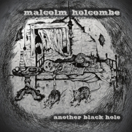 Malcolm Holcombe - Pretty little troubles | CD