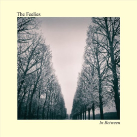 Feelies - In between | CD
