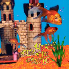 Ani Difranco - Little Plastic Castle | CD -Reissue, 25th anniversary-