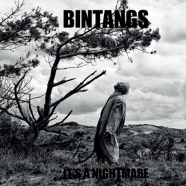 Bintangs - It's a nightmare  | CD