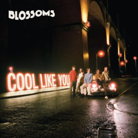 Blossoms - Cool like you | 2CD