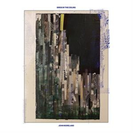 John Moreland - Birds In the Ceiling | LP -Coloured vinyl-
