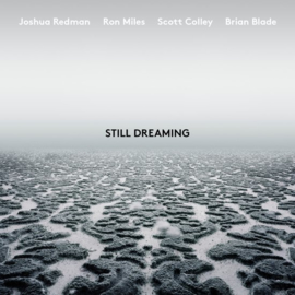 Joshua Redman - Still dreaming | LP