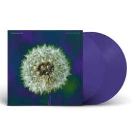 Bevis Frond - Focus On Nature | 2LP -Coloured vinyl-
