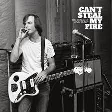 Various - Can't Steal My Fire: the Songs of David Olney | 2LP