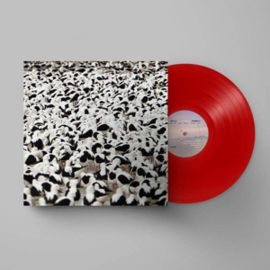 Stella Donnelly - Flood | LP -Coloured vinyl-
