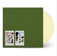 John Moreland - Visitor | LP -Coloured vinyl-