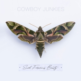 Cowboy Junkies - Such Ferocious Beauty | CD