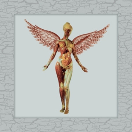 Nirvana - In Utero | 8LP -Reissue. Limited Deluxe Edition-