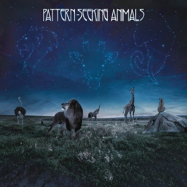 Pattern-Seeking Animals | CD  -Ltd-