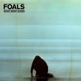 Foals -  What went down |  CD + DVD