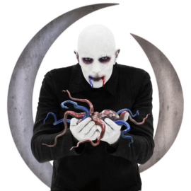 A perfect circle - Eat the elephant | CD