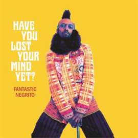 Fantastic Negrito - Have You Lost Your Mind Yet? | CD