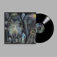 Dinosaur Jr. - There Near | LP