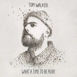 Tom Walker - What a time to be alive |  CD