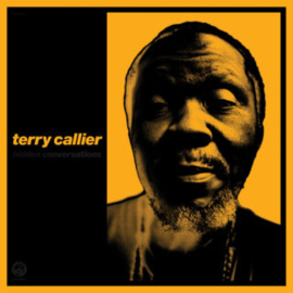Terry Callier - Hidden -With Massive Attack- | LP New Cover Art