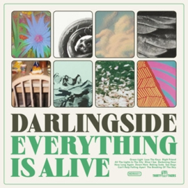 Darlingside - Everything is Alive | CD