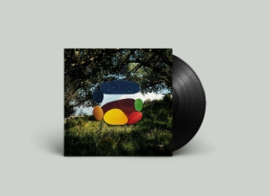 I Am Oak - Time Drifts | LP
