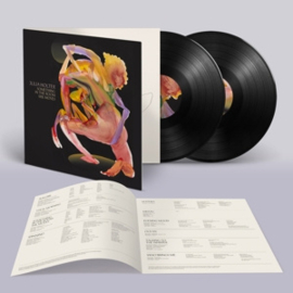 Julia Holter - Something In the Room She Moves | 2LP