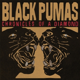 Black Pumas - Chronicles of a Diamond  | CD