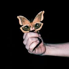 Soulwax - All Systems Are Lying | 2LP