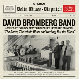 David Bromberg band - Blues, whole blues and nothing but the blues | CD